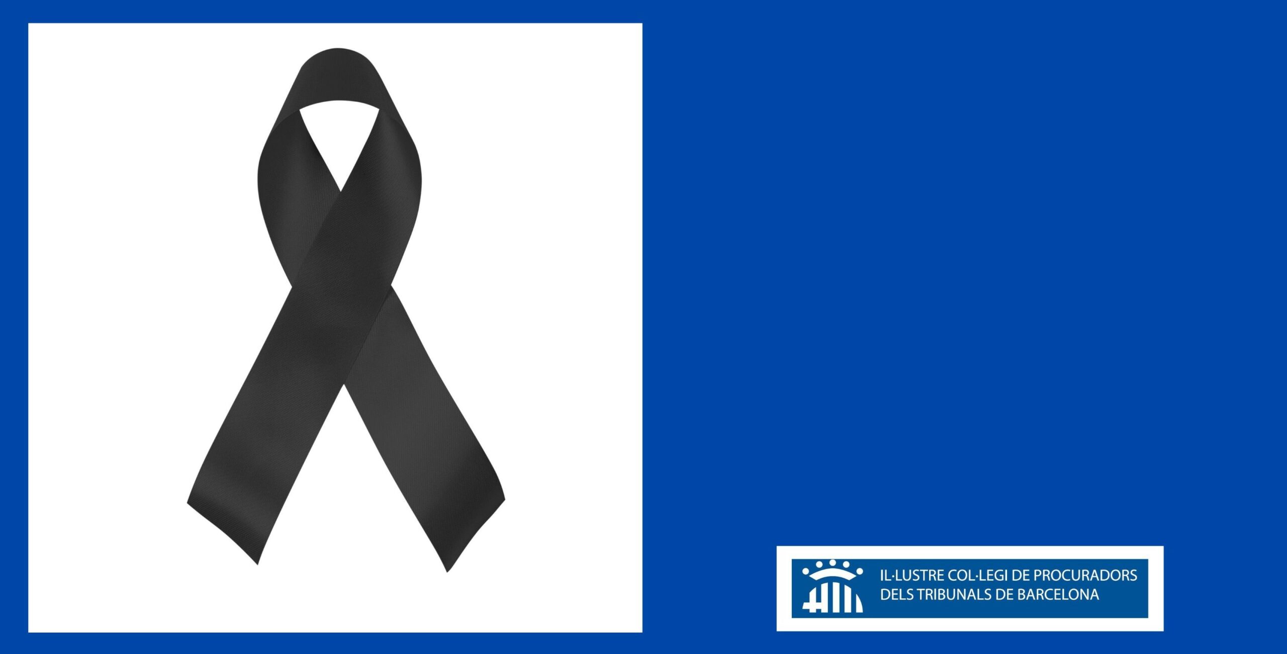 L’ICPB i la procura barcelonina mostren la solidaritat amb les víctimes de la DANA